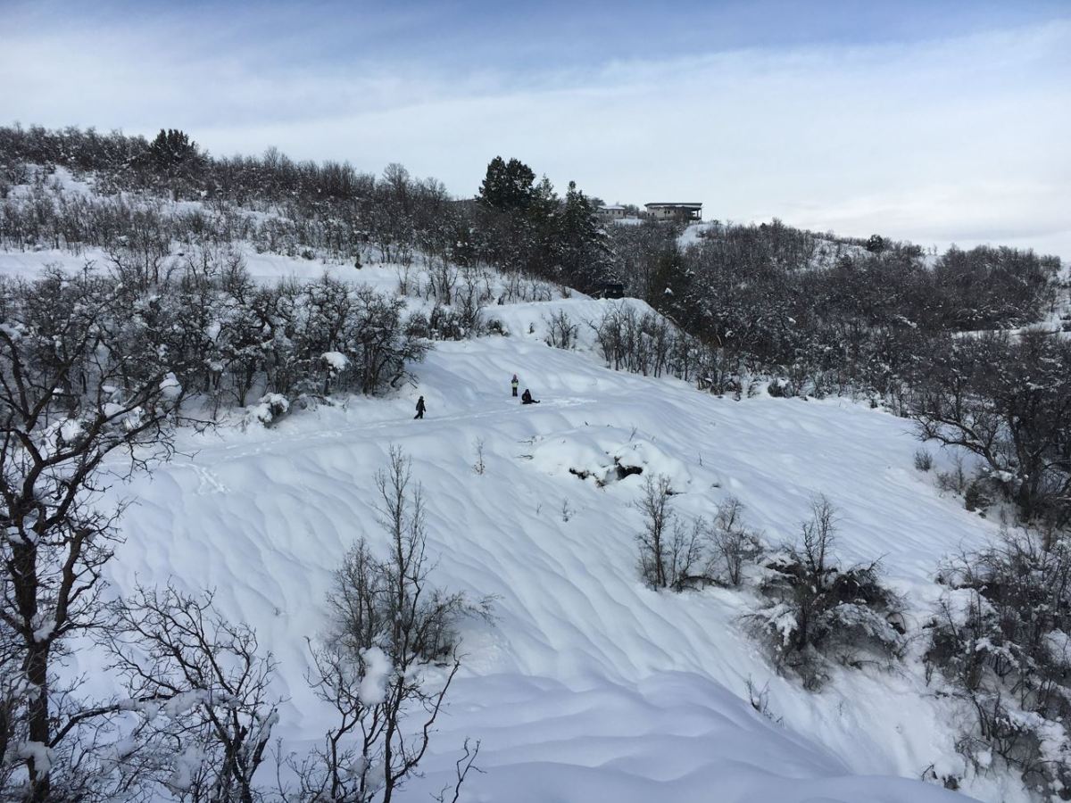 #36 – 1/15/2023 – Crunch&nbsp;Time!